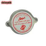 درب رادیاتور پراید تیبا کوییک شرکتی برنا، رویش